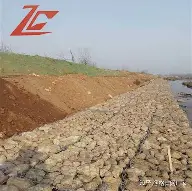 内马尔赛程全在这悬念揭晓(内马尔赛程全在这悬念揭晓了吗)