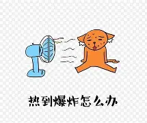热传：莎拉波娃主教练3选1(以下球员谁曾是莎拉波娃前男友?)