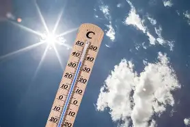 热传：莎拉波娃主教练3选1(以下球员谁曾是莎拉波娃前男友?)